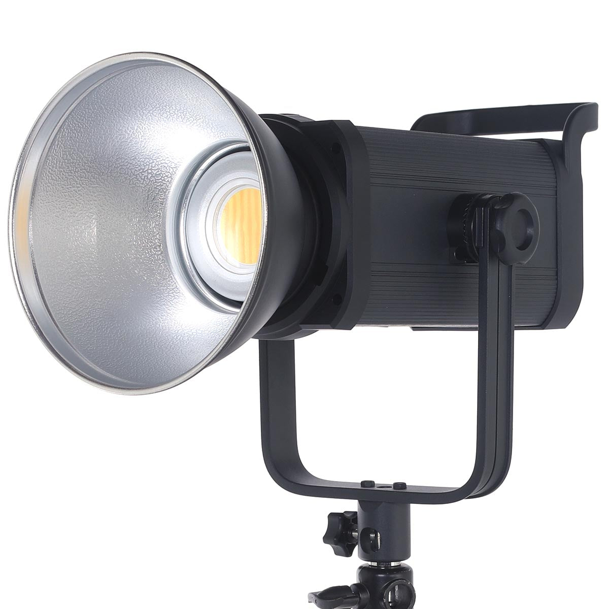 Review: Lightpro Shark 300B – The No-Nonsense Workhorse the Studio Actually Needs