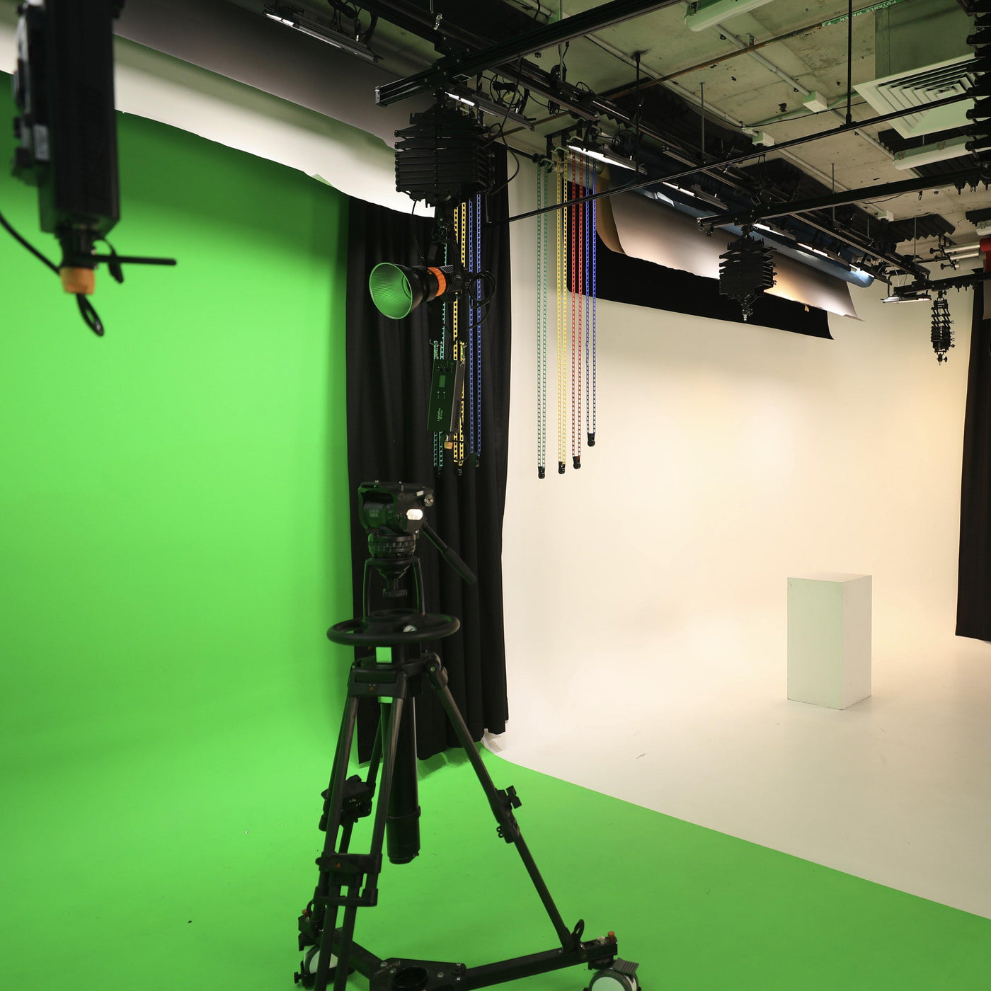 About the Studio We Built for William Clarke College - Dragon Image