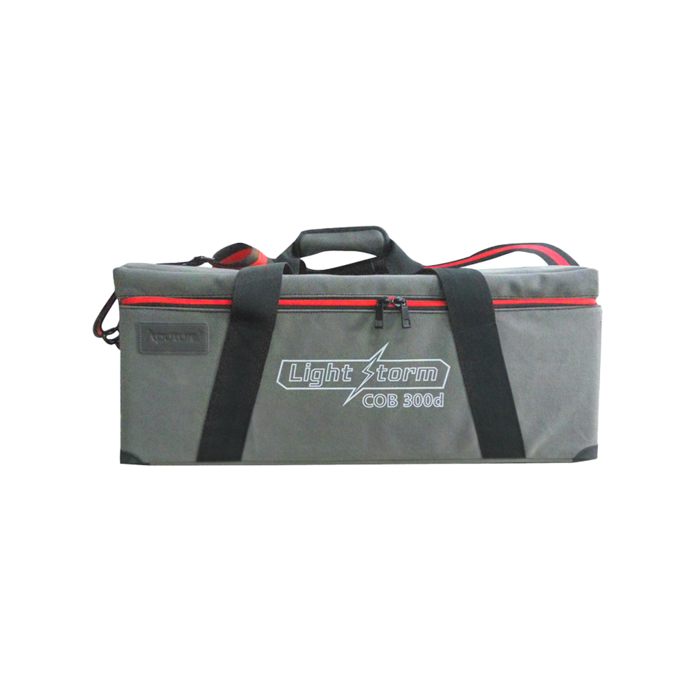 APUTURE LS300DII & 300X CARRY CASE