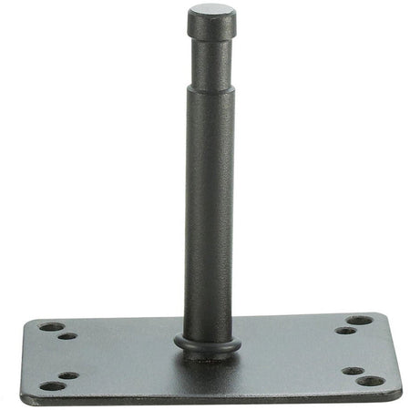 LightPro Wall Plate Black with 16mm baby pin 12cm long - Dragon Image