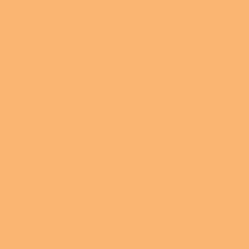 Rosco E-Colour 204 Full CT Orange Roll 1.22m x 7.62m - Dragon Image