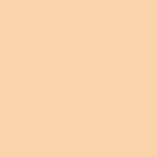 Rosco E-Colour 205 1/2 CT Orange Roll 1.22m x 7.62m - Dragon Image