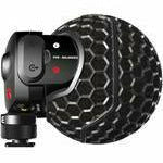 RODE Stereo VideoMic X - Broadcast-grade Stereo On-camera Microphone - Dragon Image