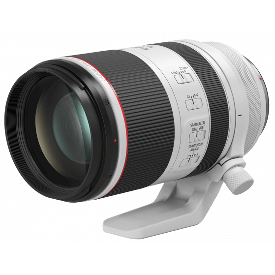 Canon RF 70-200mm f/2.8L IS USM Lens - Dragon Image