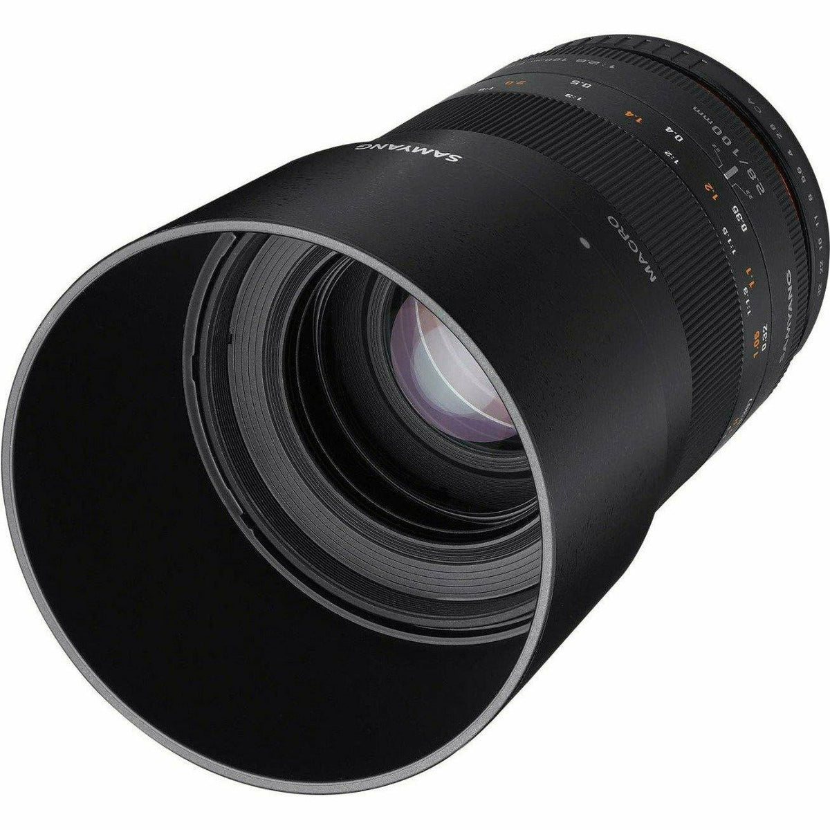 Samyang 100mm F 2.8 Macro UMC II Sony A Full Frame - Dragon Image
