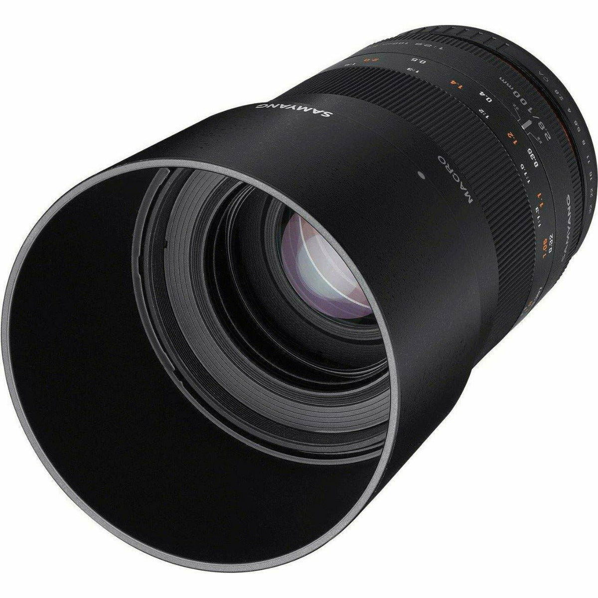 Samyang 100mm F2.8 Macro UMC II Olympus FT Full Frame - Dragon Image