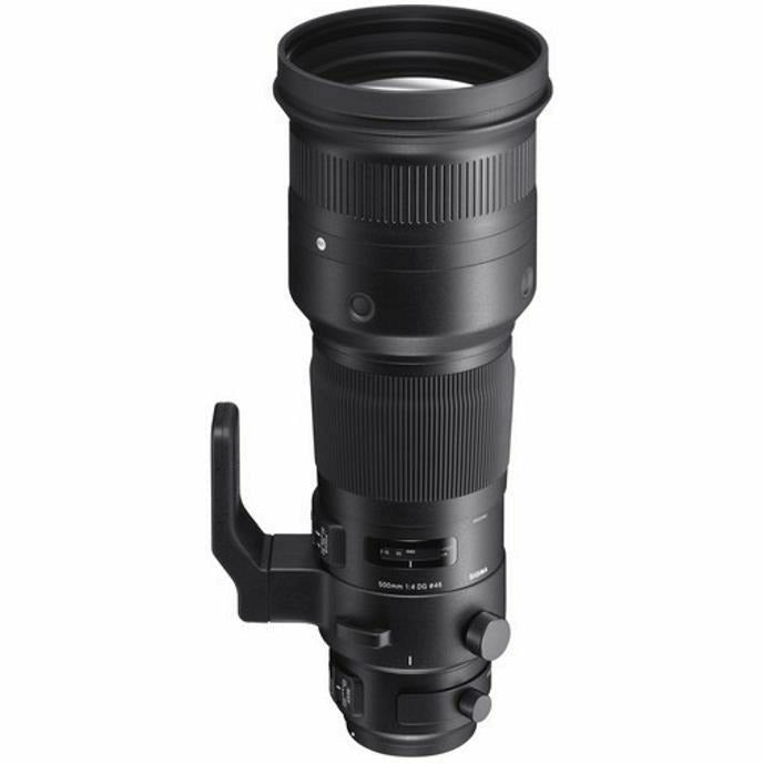 Sigma 500mm f/4 DG OS HSM Sport Lens for Nikon - Dragon Image