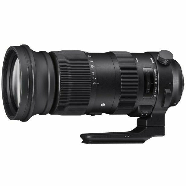 Sigma 60-600mm f4.5-6.3 DG OS Sport Lens for Nikon - Dragon Image
