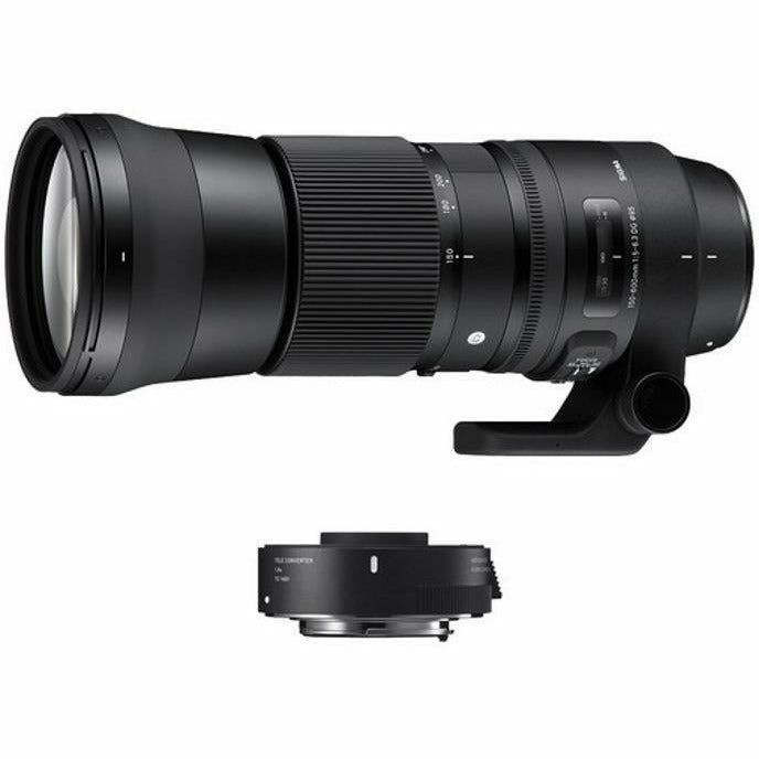 Sigma 150-600mm f/5-6.3 DG OS HSM Contemporary Lens for Canon - Dragon Image
