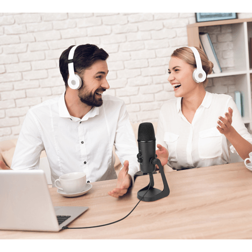 BOYA BY-PM700 USB Podcast Microphone - Dragon Image