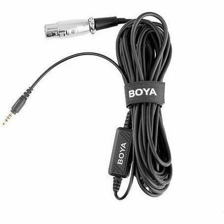 BOYA BY-BCA6 XLR to TRRS Adapter Cable - Dragon Image