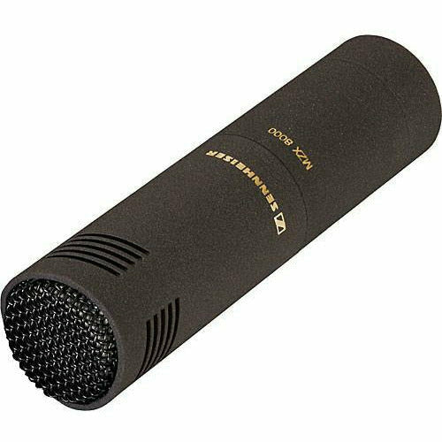 Sennheiser MKH-8050 Compact Supercardioid Condenser Microphone - Dragon Image