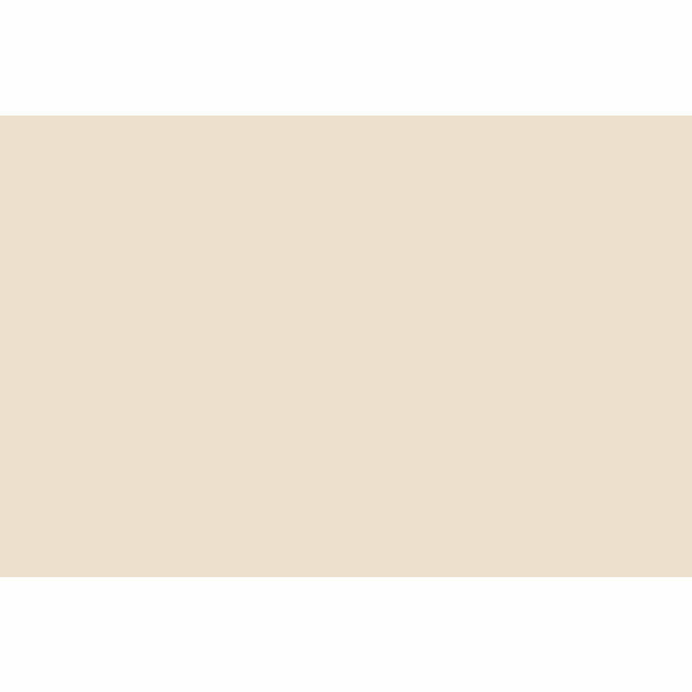 Fawn Color Paper Superior Fawn 1.35m x 11m Seamless Background Paper Roll – Dragon Image ...