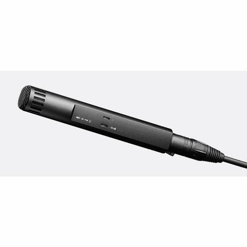 Sennheiser MKH 50 Microphone - Dragon Image