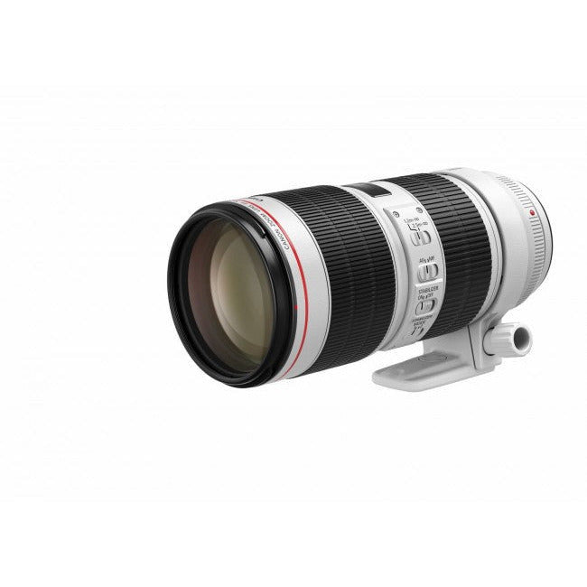 Canon EF 70-200mm f/2.8L IS III USM Telephoto Lens - Dragon Image