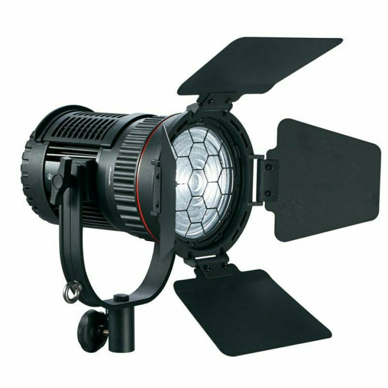 LightPro Fresnel DN-30F LED Light - Dragon Image