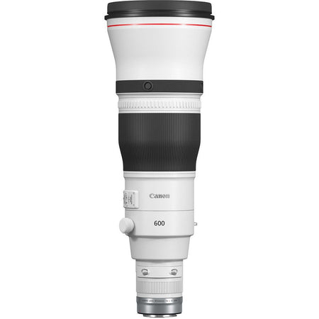 Canon EF 600mm f/4L IS III USM Lens - Dragon Image